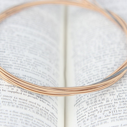 IKN Stainless Steel Acoustic Guitar Strings Set Phosphor Bronze Strings